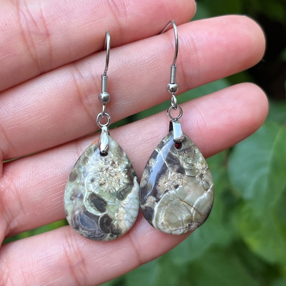 Stainless steel money agate drop earrings‎ 0951